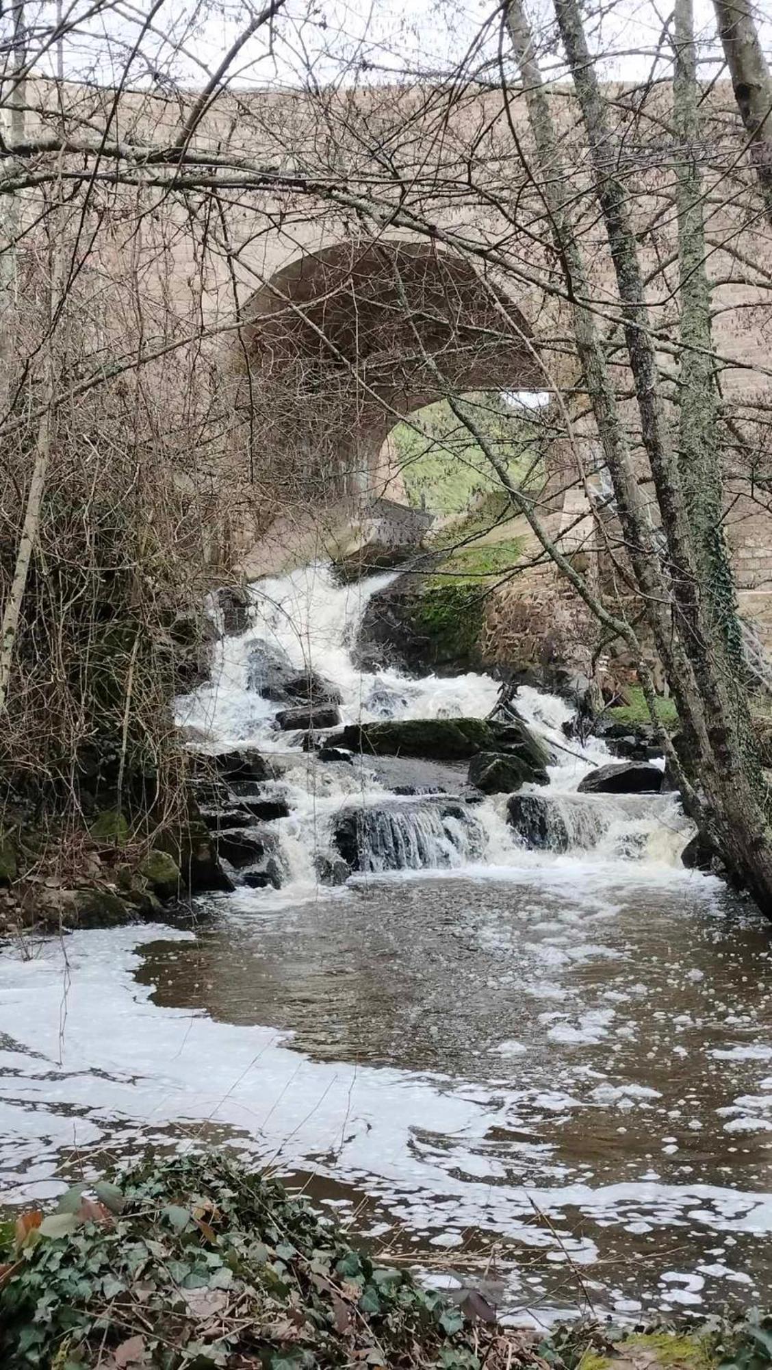 Gite "La Petite" Saint-Benoit-du-Sault Exteriér fotografie